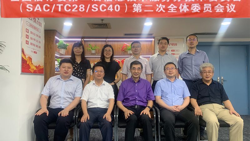 IT咨询行业框架与工具：构建稳定高效的信息技术体系