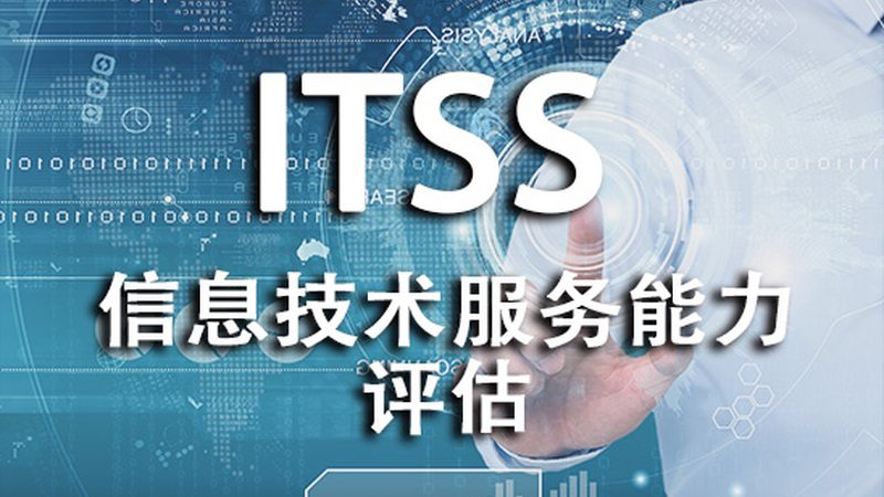 IT外包价格，如何精准评估？**